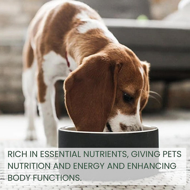 Probiotics For Dogs & Cats,digestive Enzymes & Prebiotics Supplement,helps To Relieve Diarrhea, Vomiting, Upset [...]