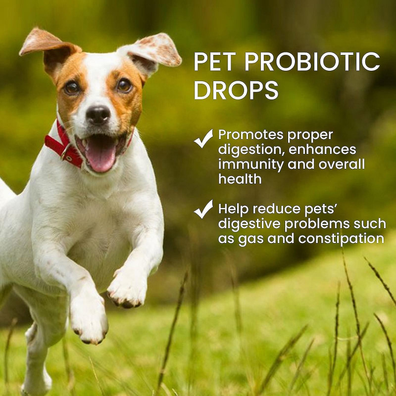 Probiotics For Dogs & Cats,digestive Enzymes & Prebiotics Supplement,helps To Relieve Diarrhea, Vomiting, Upset [...]