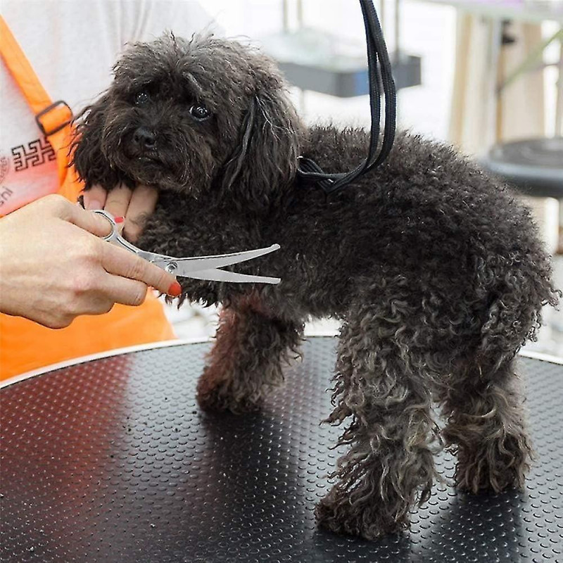 Ciseaux Pour Chien Acier Inoxydable Tranchant 4.5inch Ciseaux Toilettage Chien Professionnel Pour Chats Chiens Et [...]