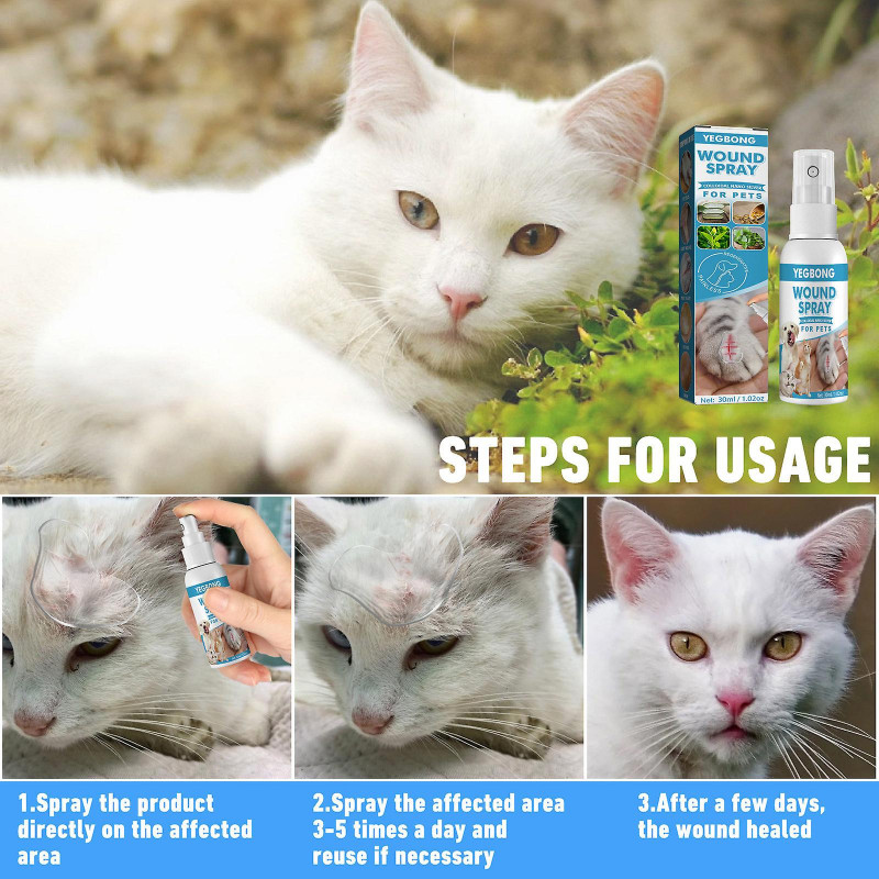 Récupération Spray Antiseptique Médicamenteux Pour Chiens Chats Plaies Et Soins de la Peau 30ml Récupération Spray Antiseptique Médicamenteux Pour Chiens Chats Plaies Et Soins de la Peau 30ml
