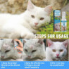 Récupération Spray Antiseptique Médicamenteux Pour Chiens Chats Plaies Et Soins de la Peau 30ml Récupération Spray Antiseptique Médicamenteux Pour Chiens Chats Plaies Et Soins de la Peau 30ml