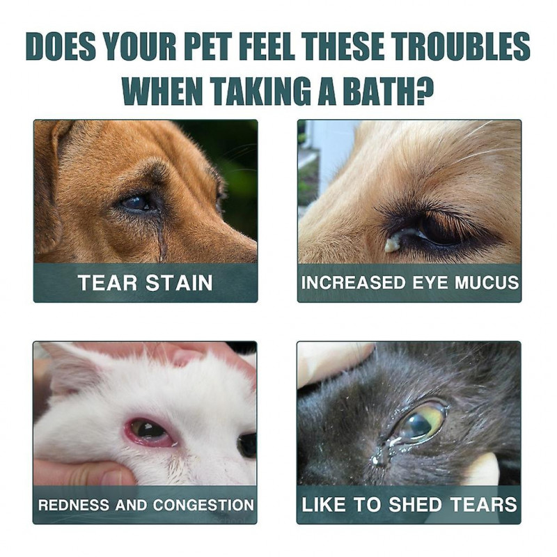 Cat Dog Eye Cleaner Eye Solution For Dogs Pet Eye Cleaner Encrusted And Dirt