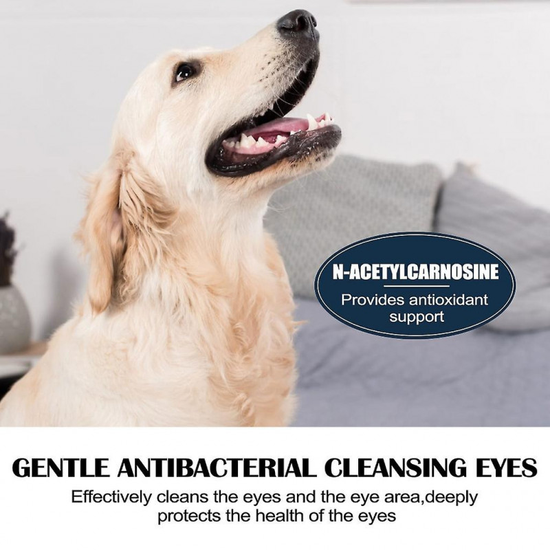 Gouttes ophtalmiques pour chiens pour les infections - Soins des yeux qui coulent Pet Tear Stain Remover