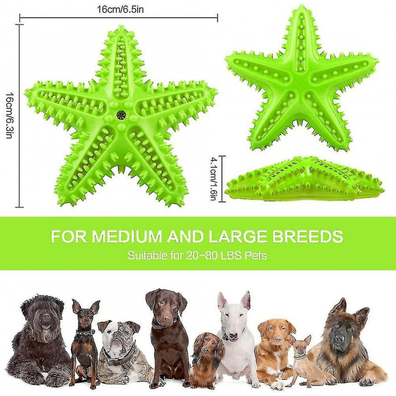 Dog Chew Toys Teeth Cleaning Toothbrush Squeaky Toy,pet Dental Oral Care Brushing Sticks(green, Medium)