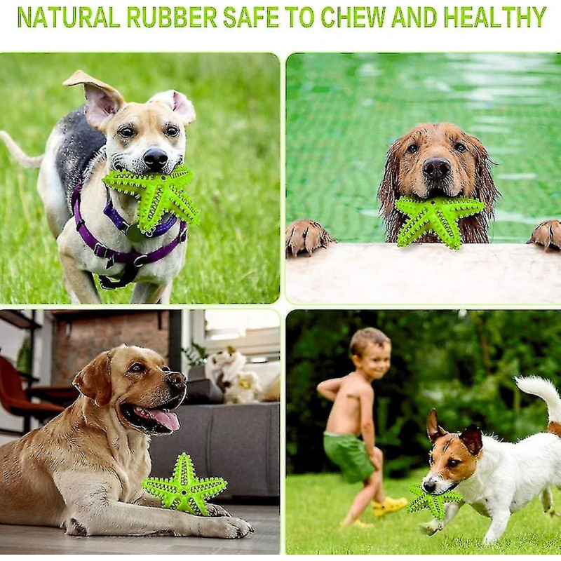 Dog Chew Toys Teeth Cleaning Toothbrush Squeaky Toy,pet Dental Oral Care Brushing Sticks(green, Medium)