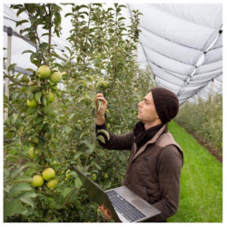 Filet Anti-oiseaux Mailles Serres - Filet De Protection Contre Les Oiseaux - Filet De Jardin - Filet De Protection [...]