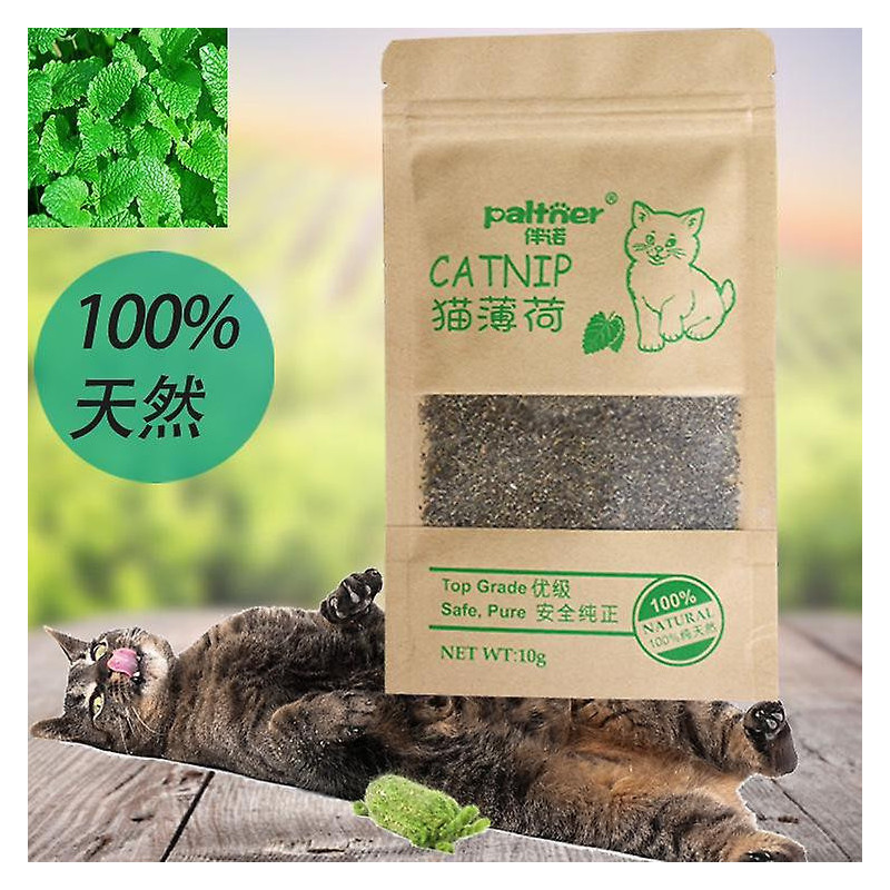1~10PCS Natural Premium Catnip Cattle Grass Interactive Cat Non-toxic 10g Menthol Flavor Funny Cat Supplies Keep [...]