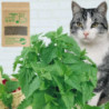 1~10PCS Natural Premium Catnip Cattle Grass Interactive Cat Non-toxic 10g Menthol Flavor Funny Cat Supplies Keep [...]