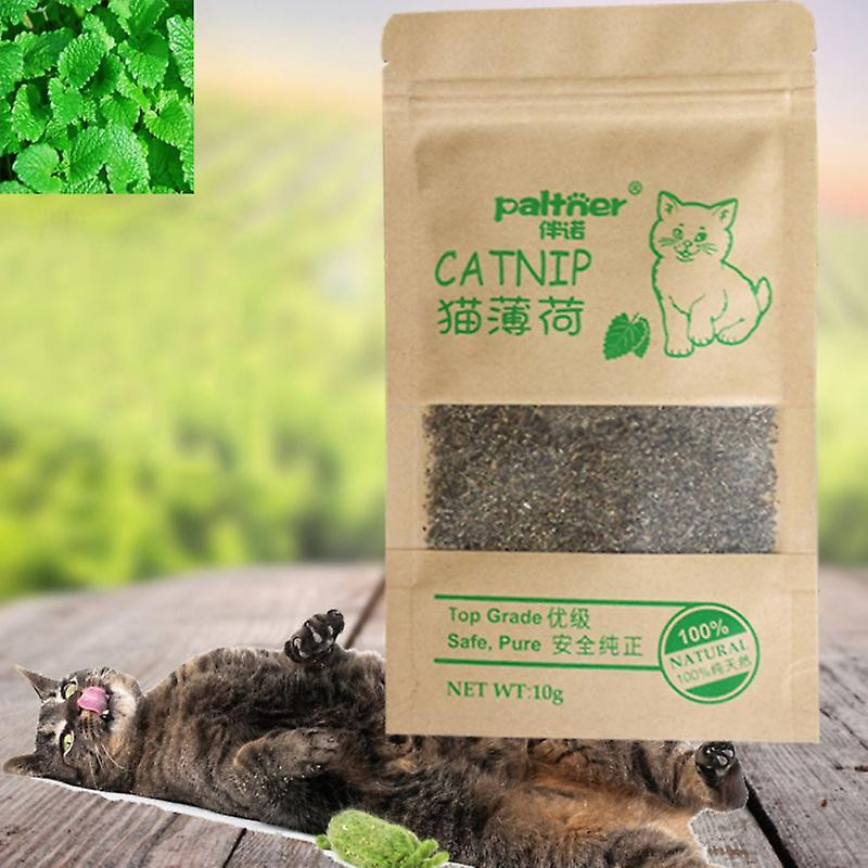 1~10PCS Natural Premium Catnip Cattle Grass Interactive Cat Non-toxic 10g Menthol Flavor Funny Cat Supplies Keep [...]