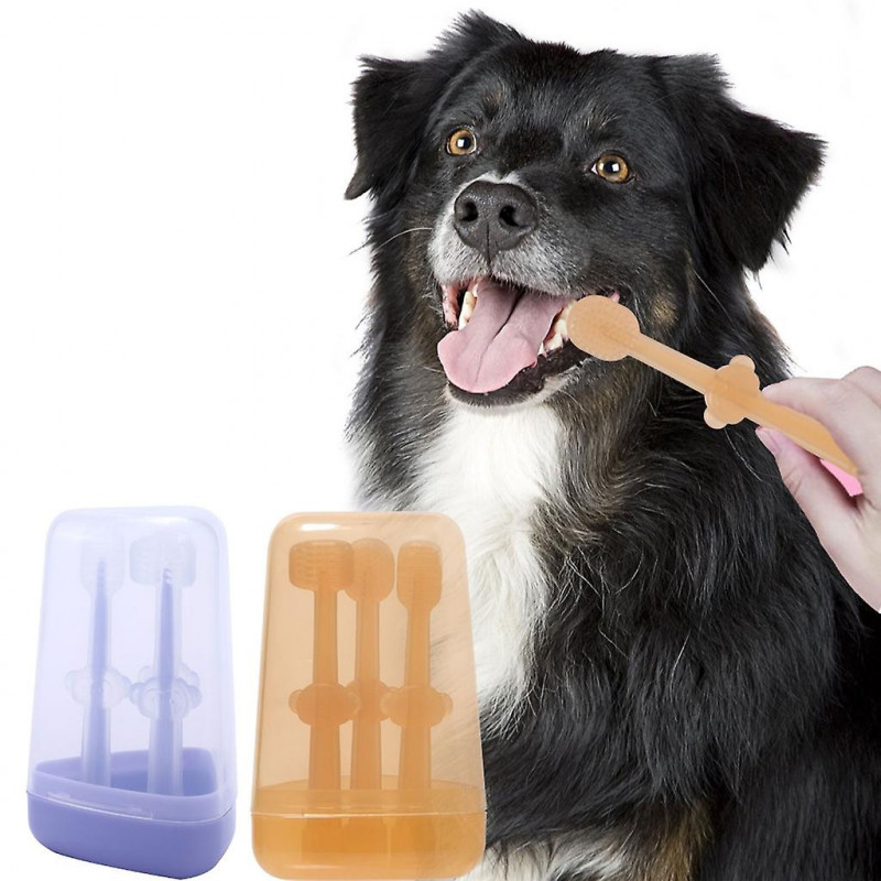 Upgraded Dog Toothbrush Pet Toothbrush with Storage Box Addition Bad Breath