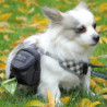 Pet Dog Treat Pouch Portable Multifonction Dog Training Bag Outdoor Travel Dog Poop Bag Distributeur Durable Pet [...]