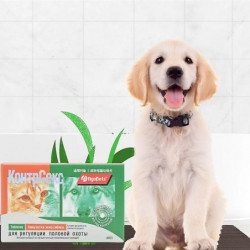 Suppléments nutritionnels pour animaux de compagnie pour chats et chiens pendant la période d’œstrus pour soulager [...]