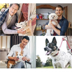 Suppléments nutritionnels pour animaux de compagnie pour chats et chiens pendant la période d’œstrus pour soulager [...]