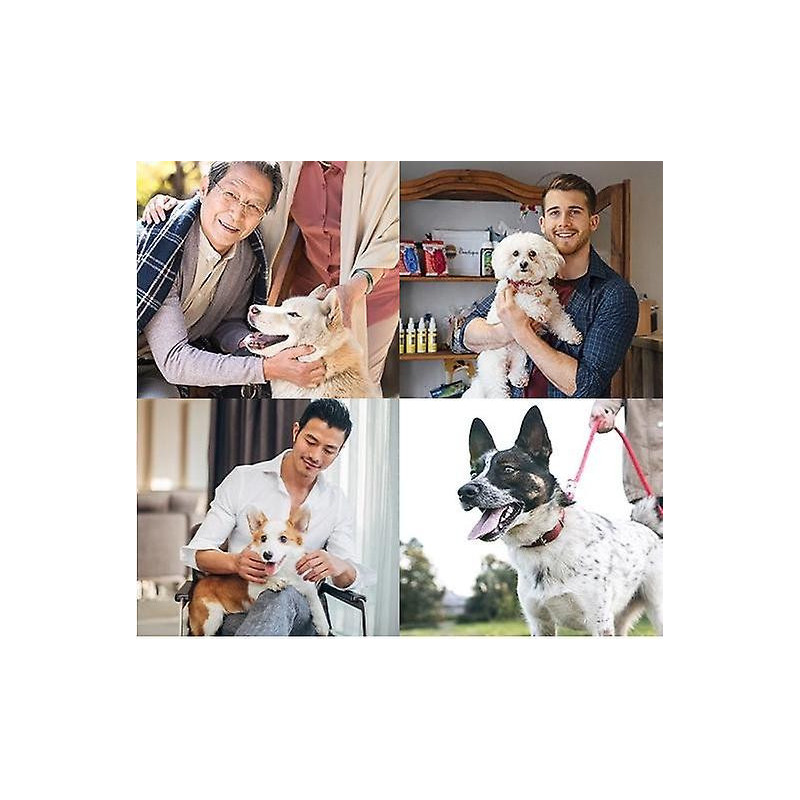 Suppléments nutritionnels pour animaux de compagnie pour chats et chiens pendant la période d’œstrus pour soulager [...]