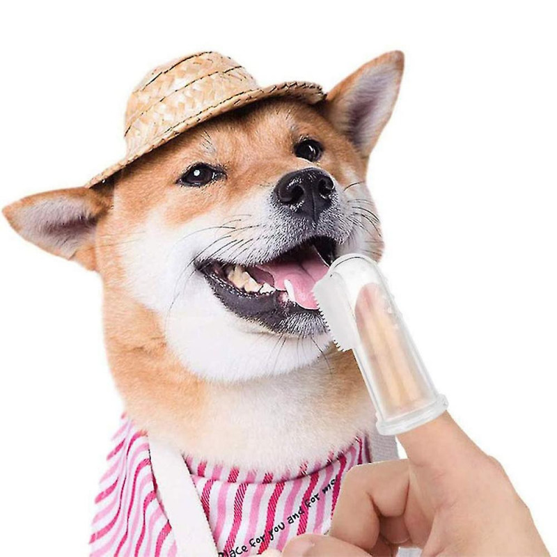 Pet Transparent Milky White Finger Toothbrush Compatible With Dogs And Cats