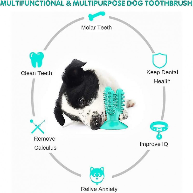 Brosse à dents pour chien, Jouet à mâcher pour chien, Jouet à mâcher interactif, Brosse à dents pour chien en [...]