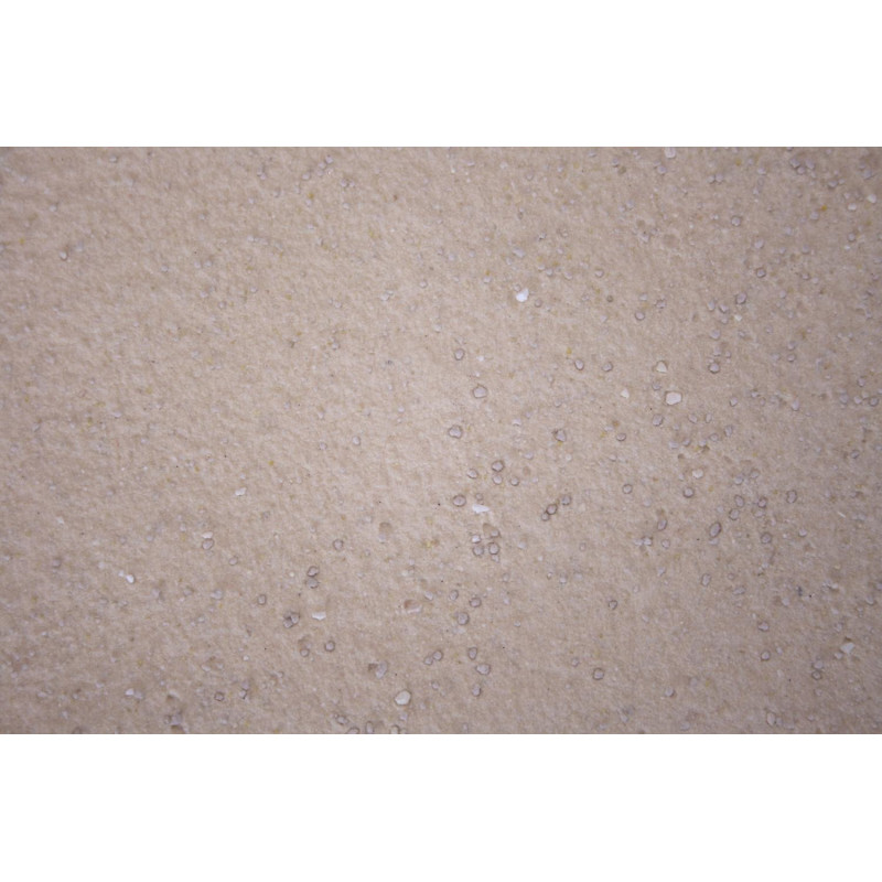 Licosan Forte (Alle diersoorten)