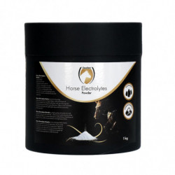 Horse Electrolytes Poeder met B2