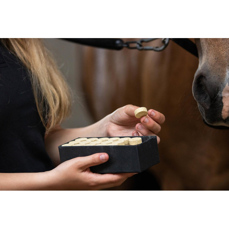Excellent Horse Healthy Box Luchtwegen