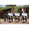 Excellent Horse Healthy Box Luchtwegen