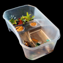 Plastique Reptile Tortue Tortue Réservoir Vivarium Boîte d’alimentation Blanc