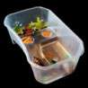 Plastique Reptile Tortue Tortue Réservoir Vivarium Boîte d’alimentation Blanc