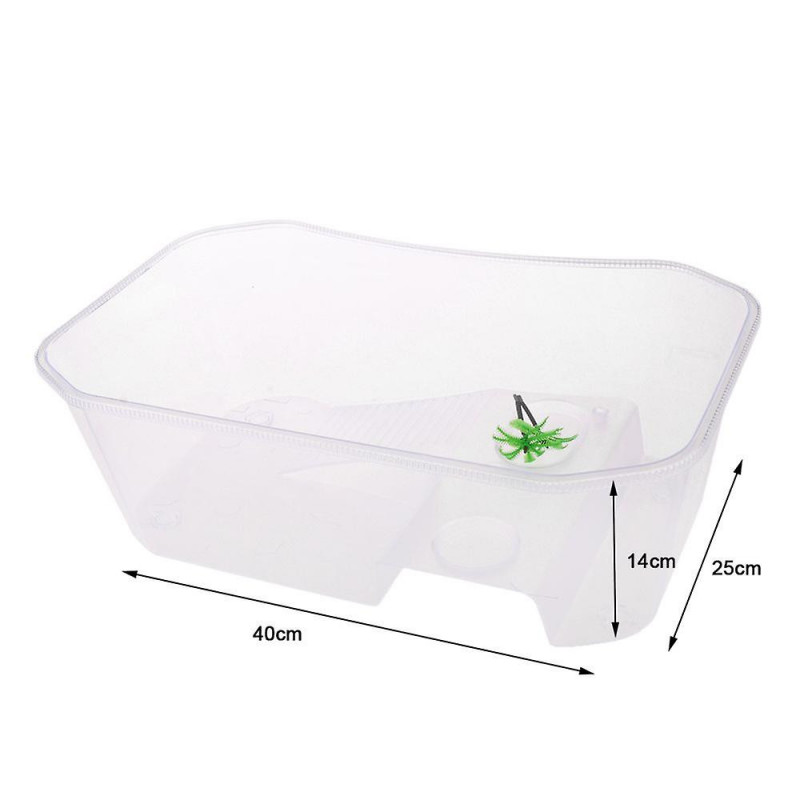 Plastique Reptile Tortue Tortue Réservoir Vivarium Boîte d’alimentation Blanc