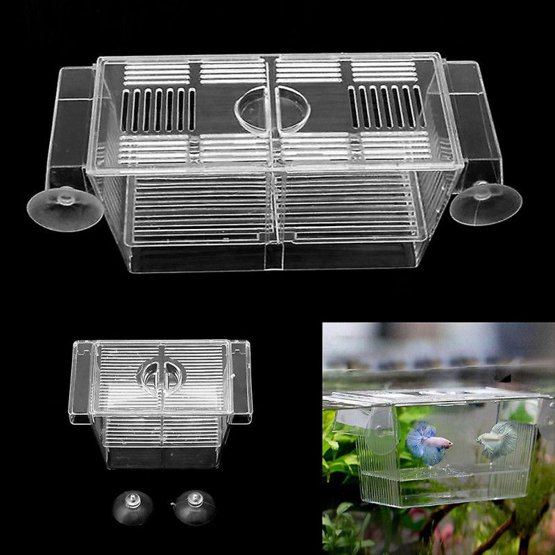 Boîte d’élevage de poissons Aquarium Incubateur d’éclosion Boîte pour bébés crevettes de poisson