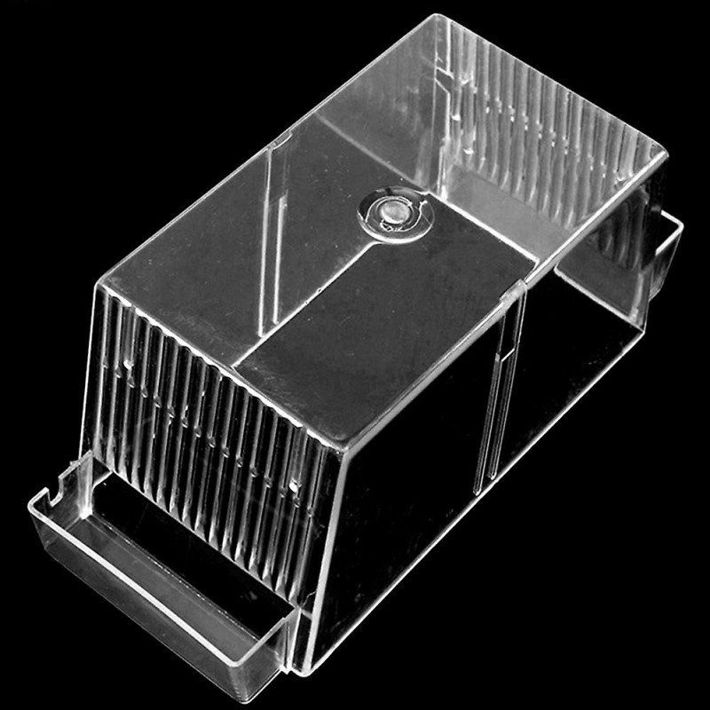 Boîte d’élevage de poissons Aquarium Incubateur d’éclosion Boîte pour bébés crevettes de poisson