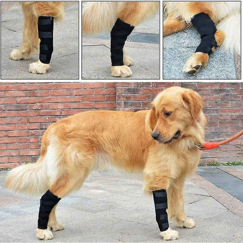 2pcs Dog Ankle Guard Bandage 1 Pair Pet Dog Wrist Bandage Dog Knee Bandage Brace Bandage Pet Protective Knee Pads [...]