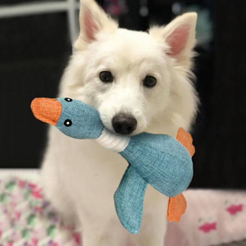 Jouets Pour Chiens Pour Mcheurs Agressifs Lgers Rsistance Aux Morsures