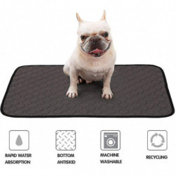 Coussin Dentranement Pour Chiens, Lavable, Rutilisable, Absorption Ra