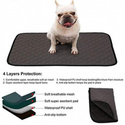 Coussin Dentranement Pour Chiens, Lavable, Rutilisable, Absorption Ra