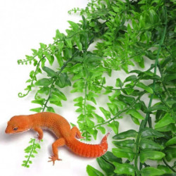 Reptile Plants Hanging Vines Persian Rattan Lizard Gecko Snake Pet Hermit Crab and Tank Habitat 4Pc