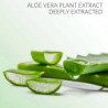 Night Aloevera Toothpaste 100g Plus Aloe Lavender Plant Extract Fresh Breath Care Teeth Cosmetic Sets FLY2529