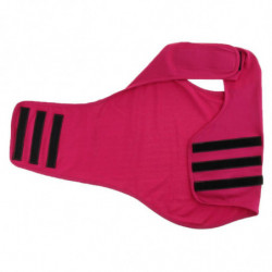 Calming Dog Cat Anxiety