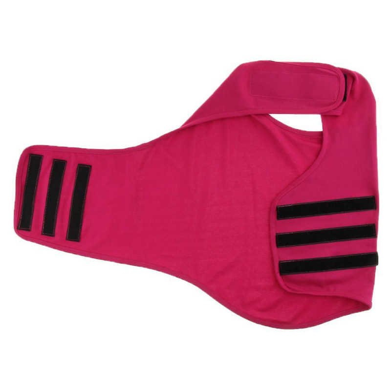 Calming Dog Cat Anxiety