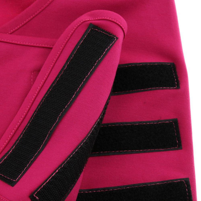 Calming Dog Cat Anxiety