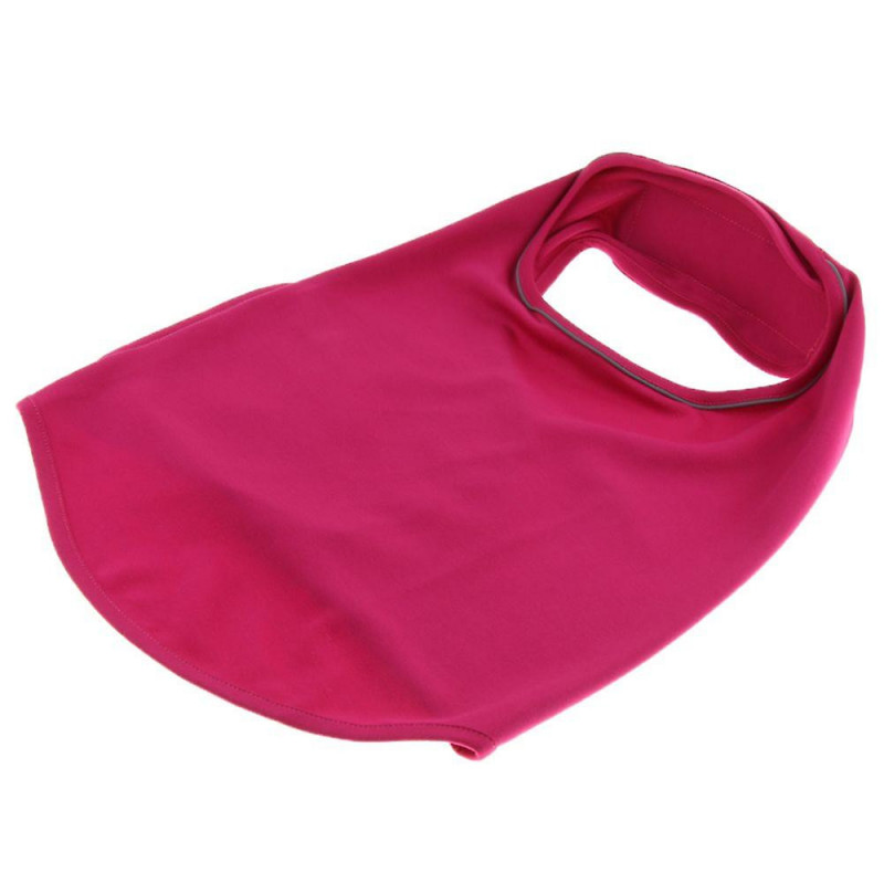 Calming Dog Cat Anxiety