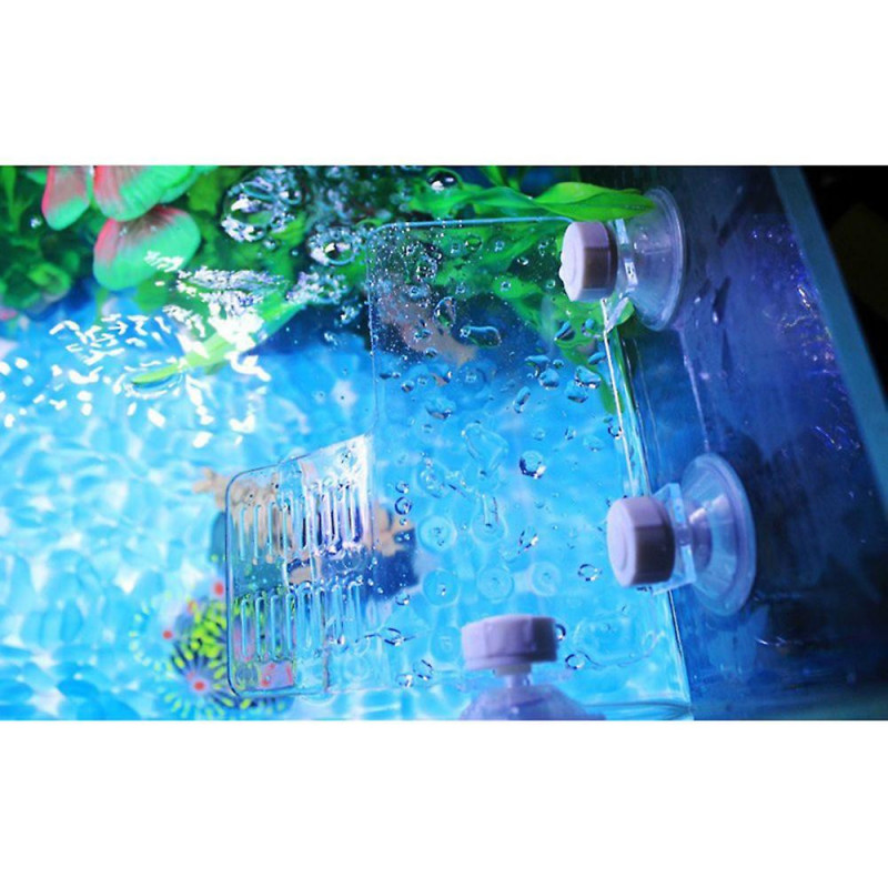 Aquarium Tank Reptile Turtle Quay Basking Terrace