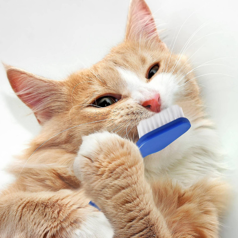 50 Piece Dog Pet Toothbrush Set Double Headed Convenient Dental Finger Brushes For Safe Dog Dental