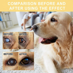 Yegbong Pet Eye Drops, Nettoyage en douceur des taches de larmes et des taches pour les yeux pour chiens et chats, [...]