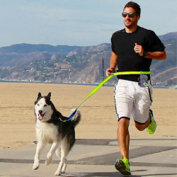 Zysd Pet Waste Picker Bags Zysd Pet Waste Picker Bags