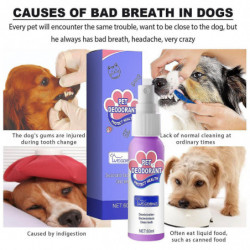 1/3pcs Petry Oral Spray, nettoyage des dents de petry pour chiens chats, cible la plaque de tartre