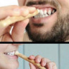 Brosse à dents Miswak, bâton de brosse à dents traditionnel à saveur naturelle scellé sous vide pour des gencives [...]