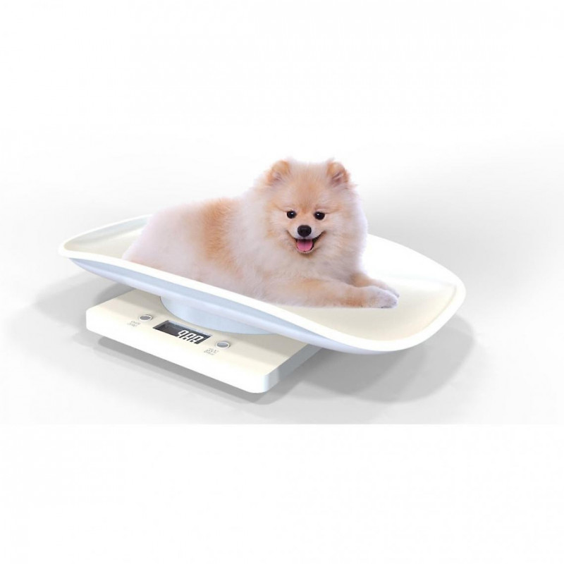 Digital Scale, Liquid Crystal Electronic Pet Scale, Mini Gram Precision Scale