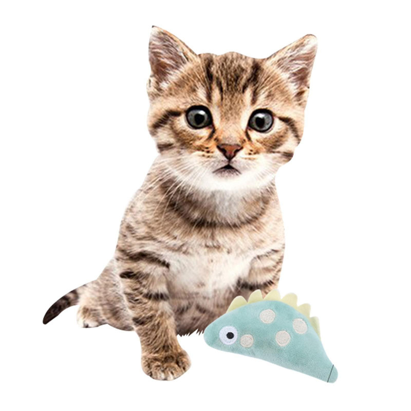 2x Cat Toothbrush Catnip Molar Stick Teeth Cleaner Toys Fish Snake