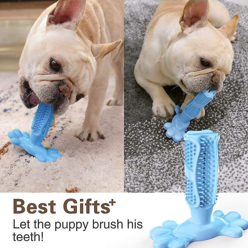 Dog Toothbrush Made Of Natural Rubber, Chew Toy For Teeth Cleaning, Dental Care, Puppy Training (shikai)