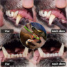 7 pièces Brosse à dents pour chien, brosse à dents pour chien et brosse à dents pour animaux de compagnie, brosse [...]