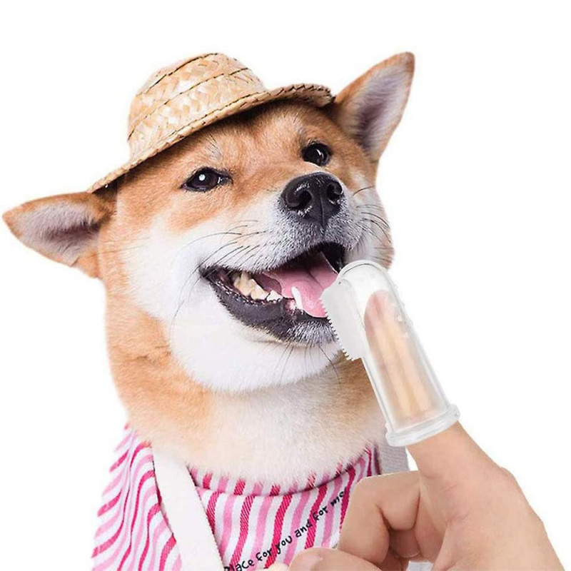 Pet Transparent Milky White Finger Toothbrush - Professional Dog Toothbrush And Cat Toothbrush Combo Set Of 8, [...]